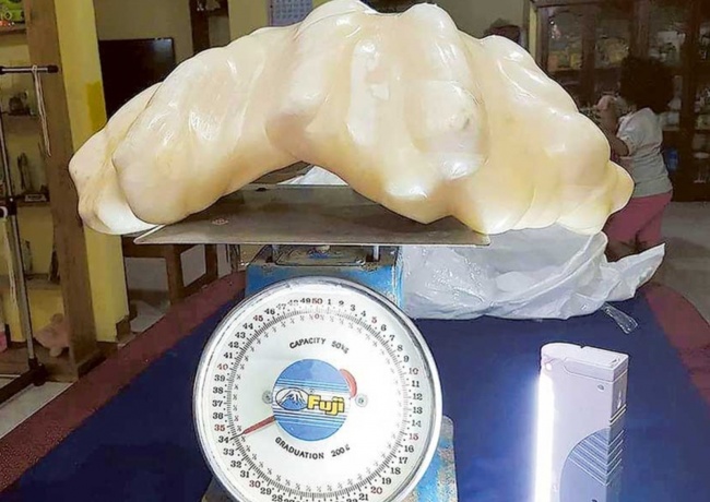 Největší a nejdražší perla na světě