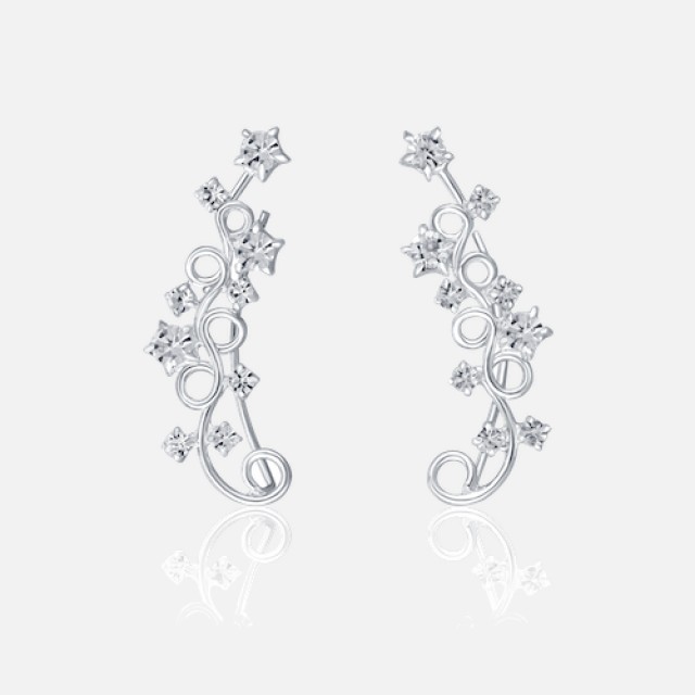 fashion romantic silver earrings